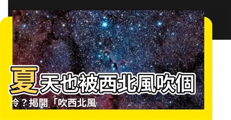 西北風 意思|西北風 的意思、解釋、用法、例句